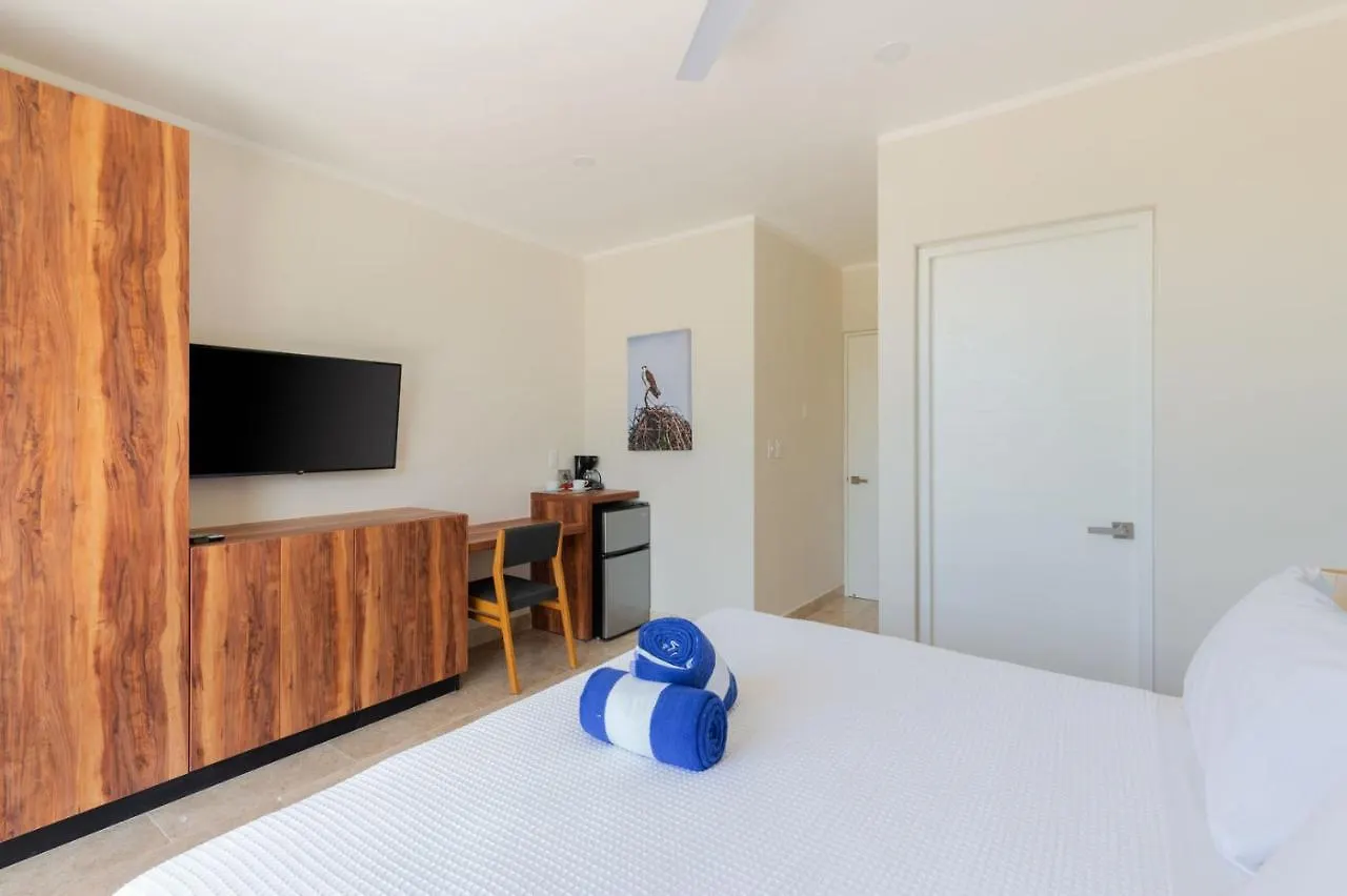 Great Condo In Aldea Zama With Plunge Pool And Movie Theater In The Complex Tulum Apartment
